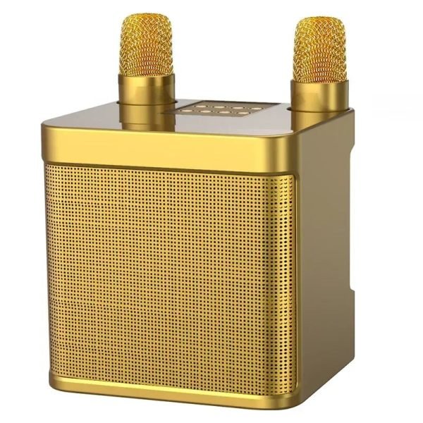 2 Mic Karaoke Machine Portable PA Speaker System Wireless Microphone Voice Changer Colorful LED Light Sing for Home Kids Adults - Image 10